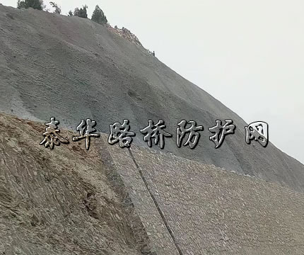 55.jpg